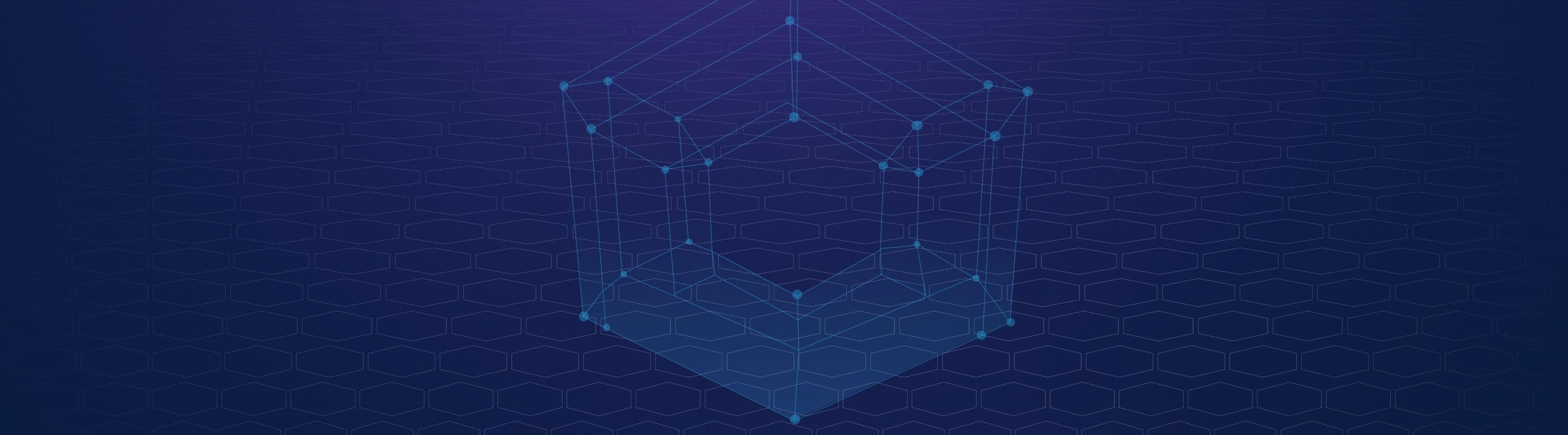 Encrypted Network